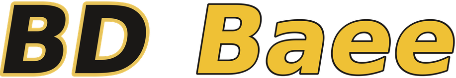 BD Baee logo